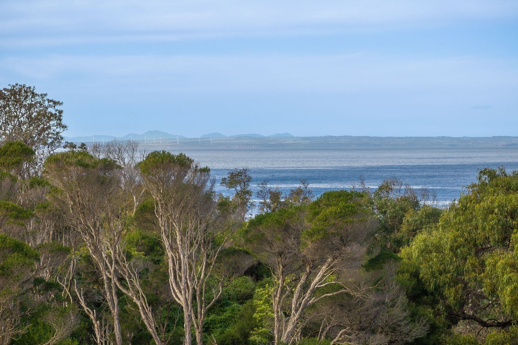 42 Surf Beach Road, Cape Paterson VIC 3995, Cape Paterson - Thumbnail 2