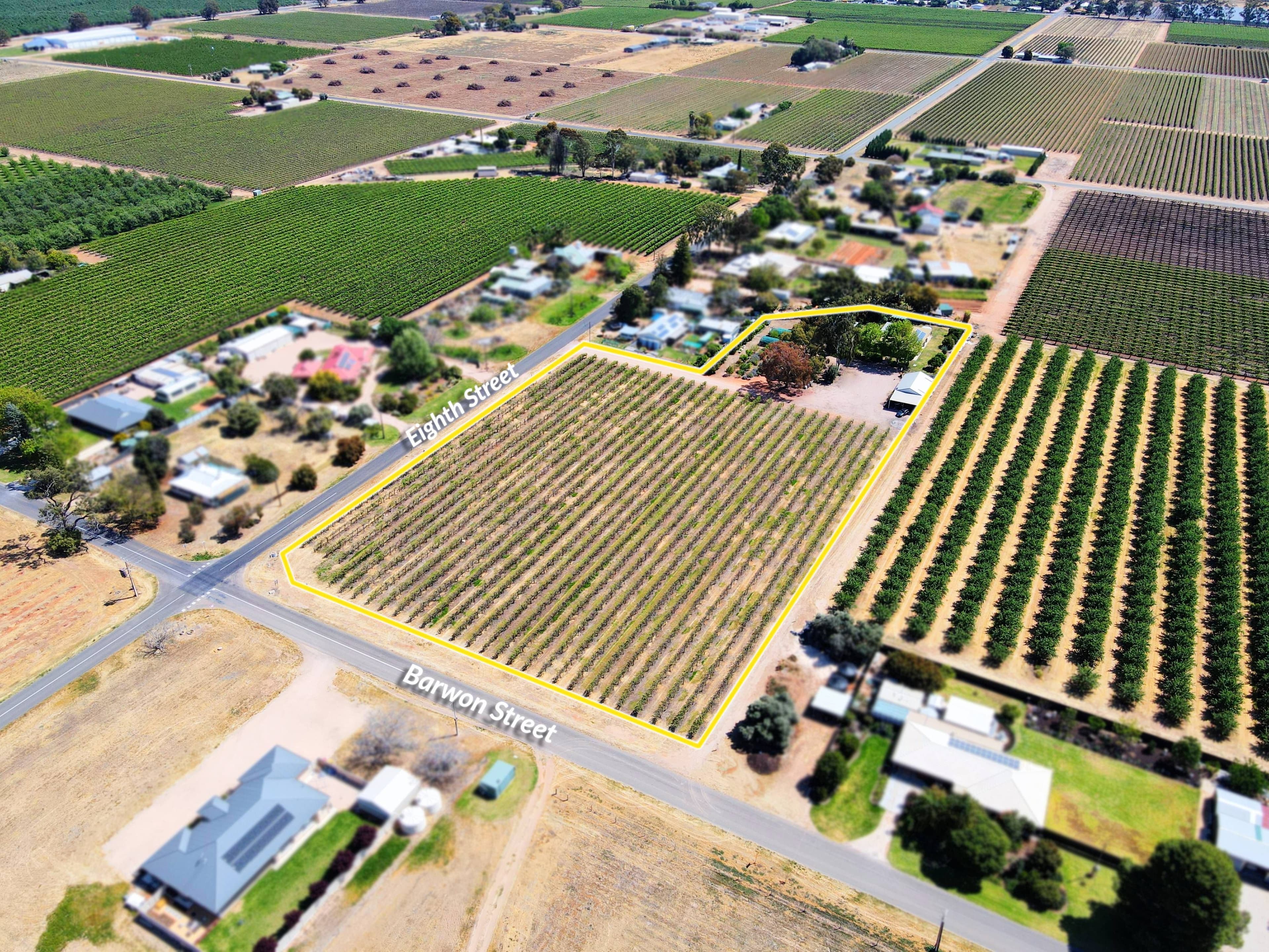170 Eighth Street, Renmark SA 5341, Renmark North - Thumbnail 2