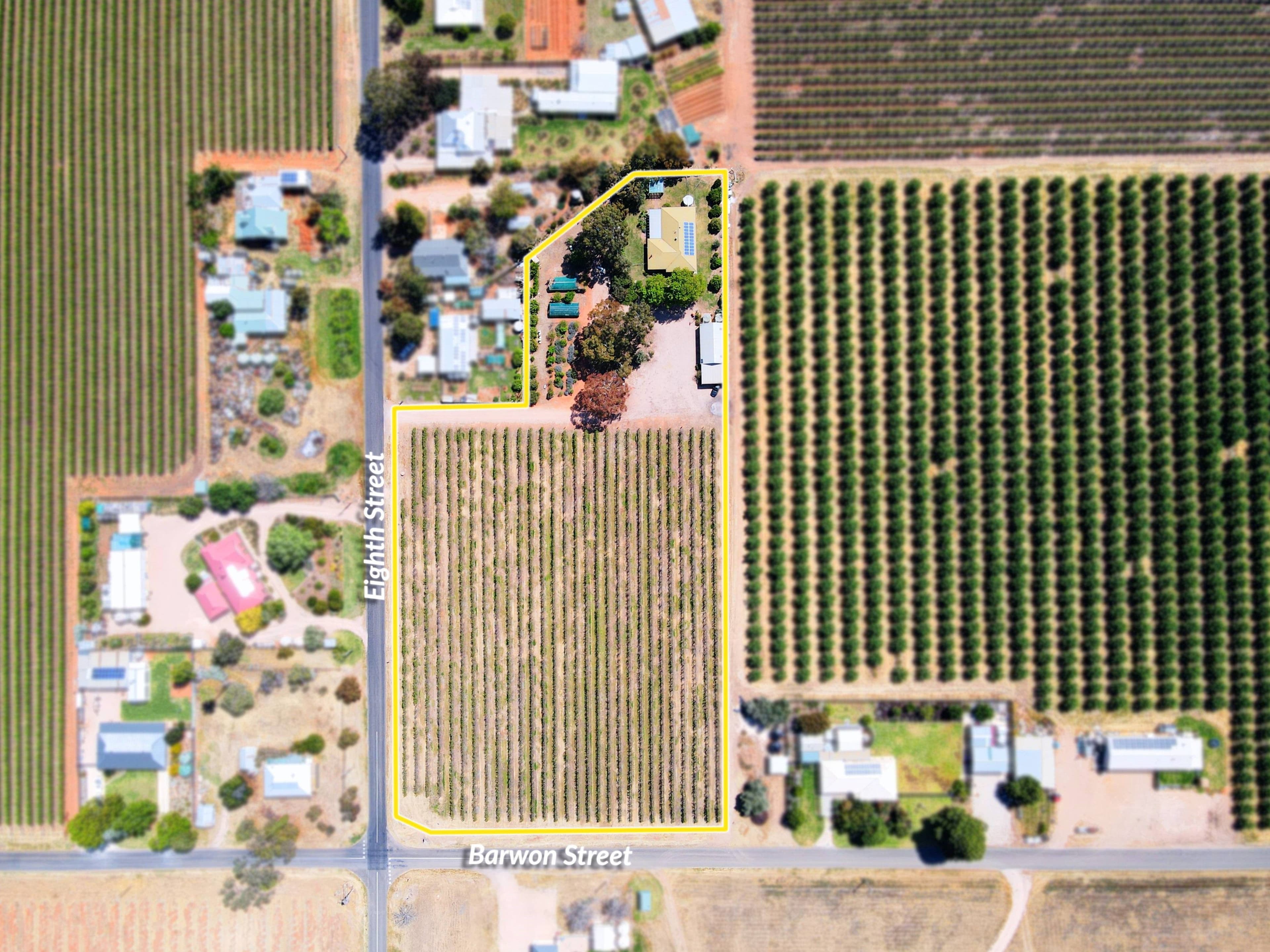 170 Eighth Street, Renmark SA 5341, Renmark North - Thumbnail 4