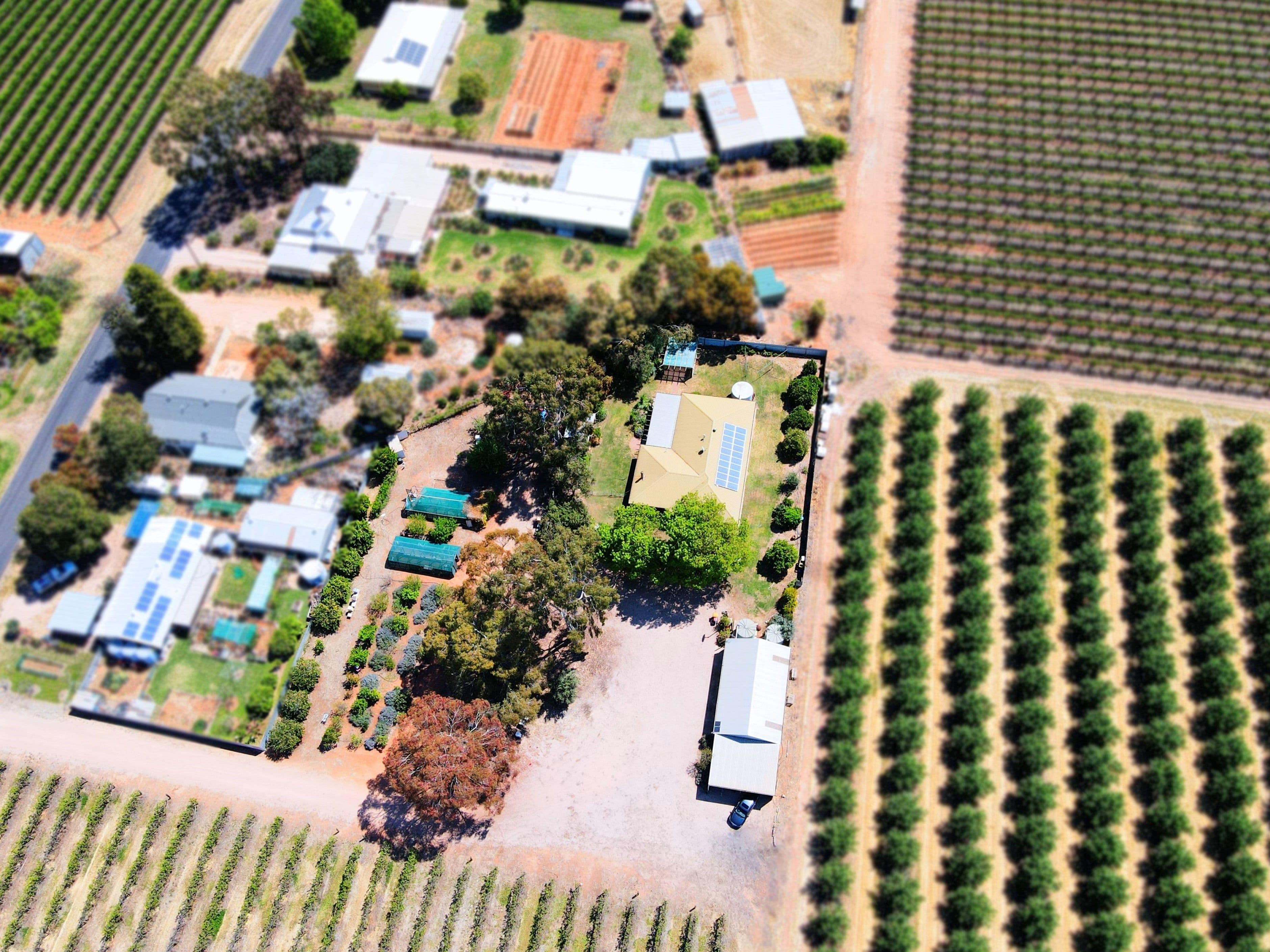 170 Eighth Street, Renmark SA 5341, Renmark North - Thumbnail 5