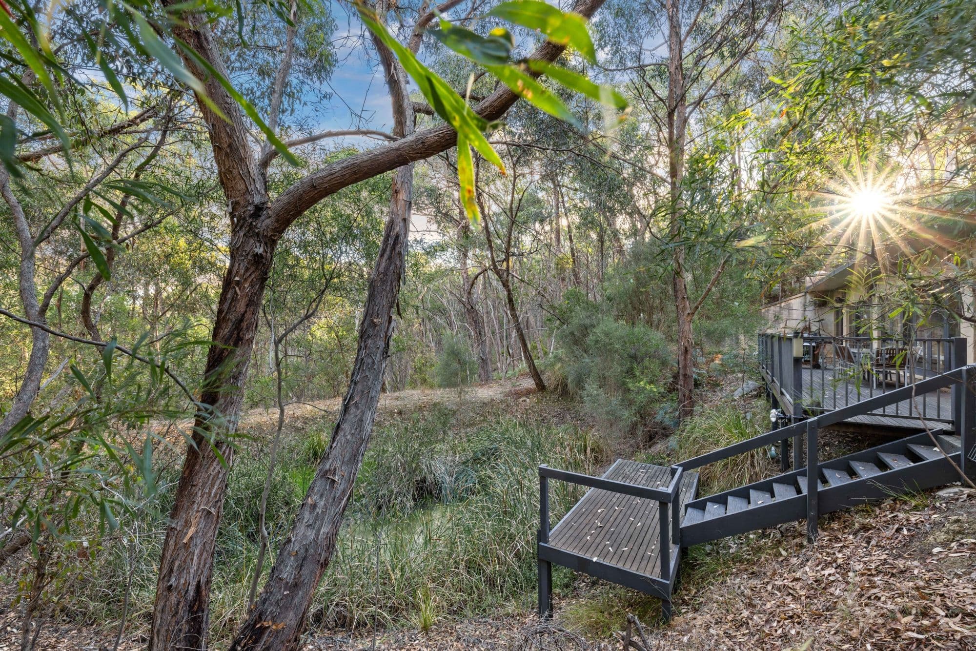 16 (Lot 51) Pole Road, Upper Sturt SA 5156, Upper Sturt - Thumbnail 4