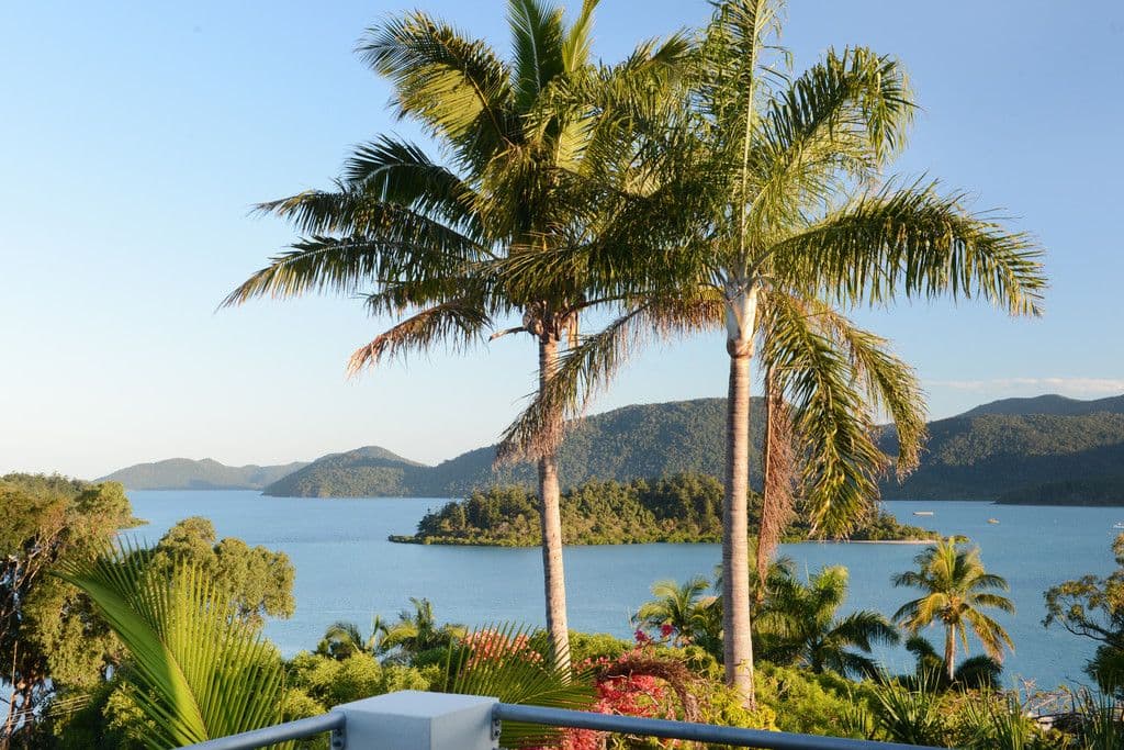 6 Shutehaven Close, Shute Harbour QLD 4802, Shute Harbour - Thumbnail 3