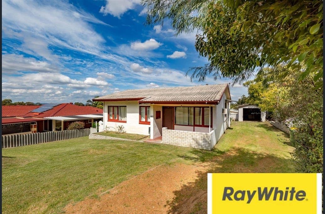 243 Winterfold Road, Coolbellup WA 6163, Coolbellup - Thumbnail 3