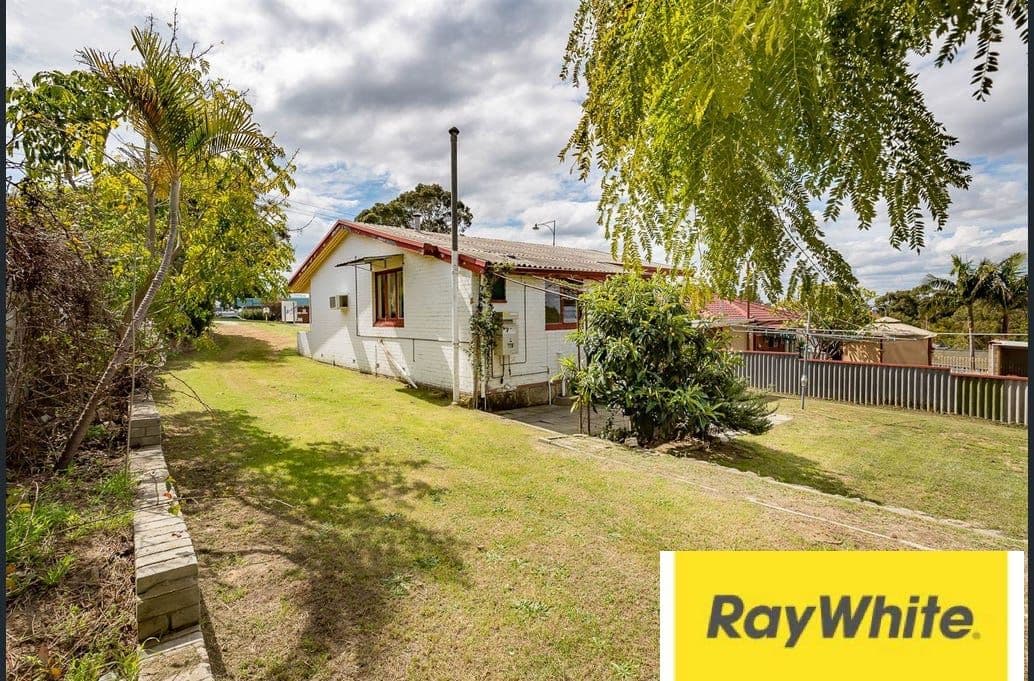 243 Winterfold Road, Coolbellup WA 6163, Coolbellup - Thumbnail 4