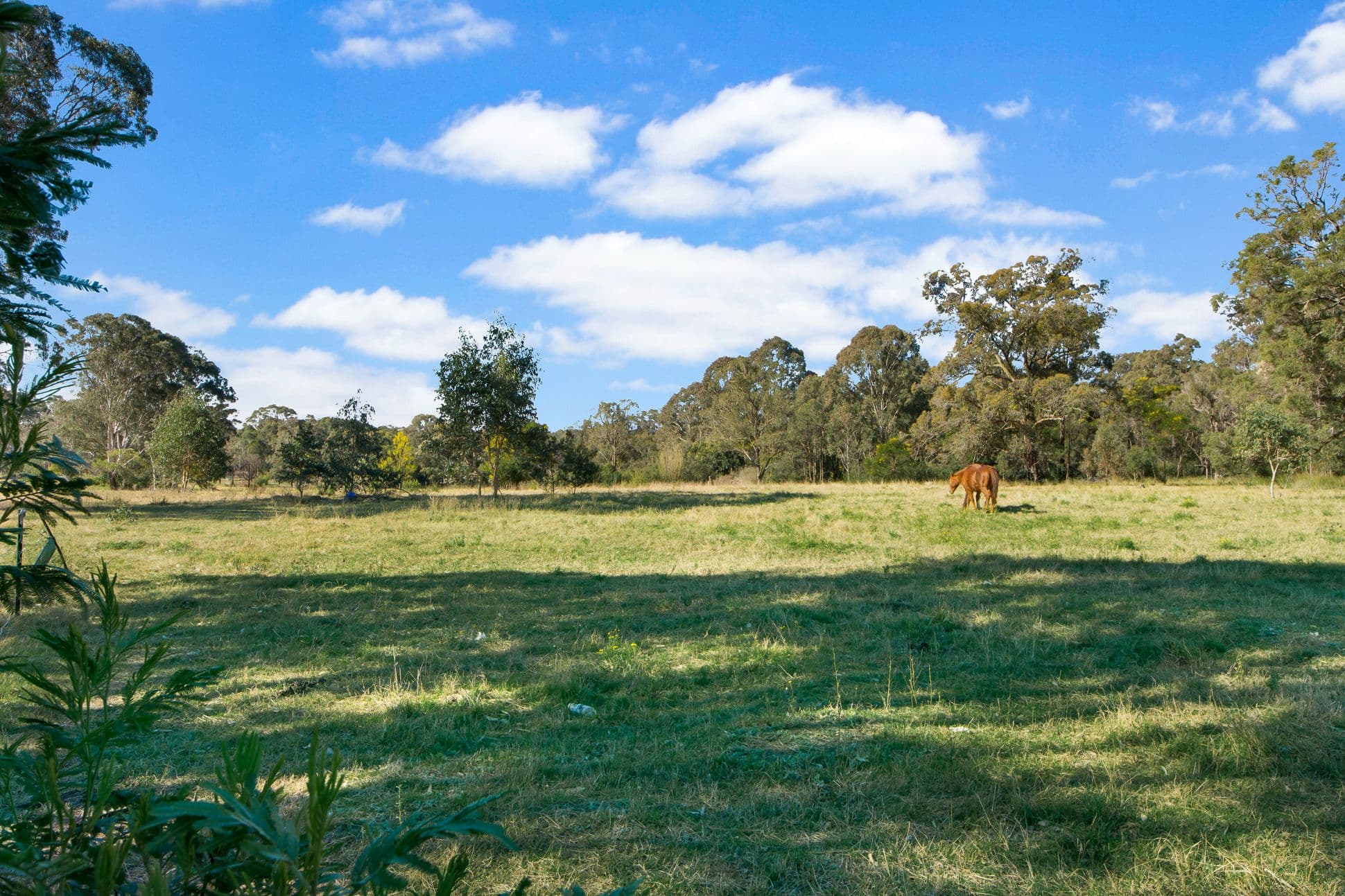 Ingleburn NSW 2565, Ingleburn - Thumbnail 8