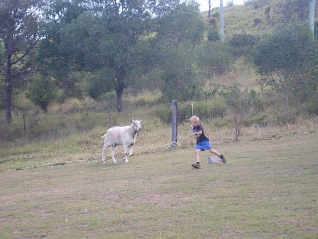 COOLANA QLD 4311, Coolana - Thumbnail 4