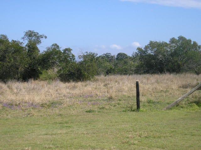 COOLANA QLD 4311, Coolana - Thumbnail 6