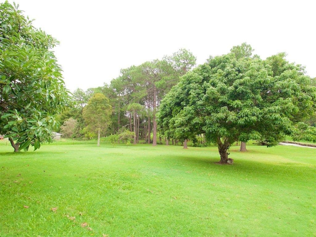 658 Underwood Road, Rochedale QLD 4123, Rochedale - Thumbnail 5