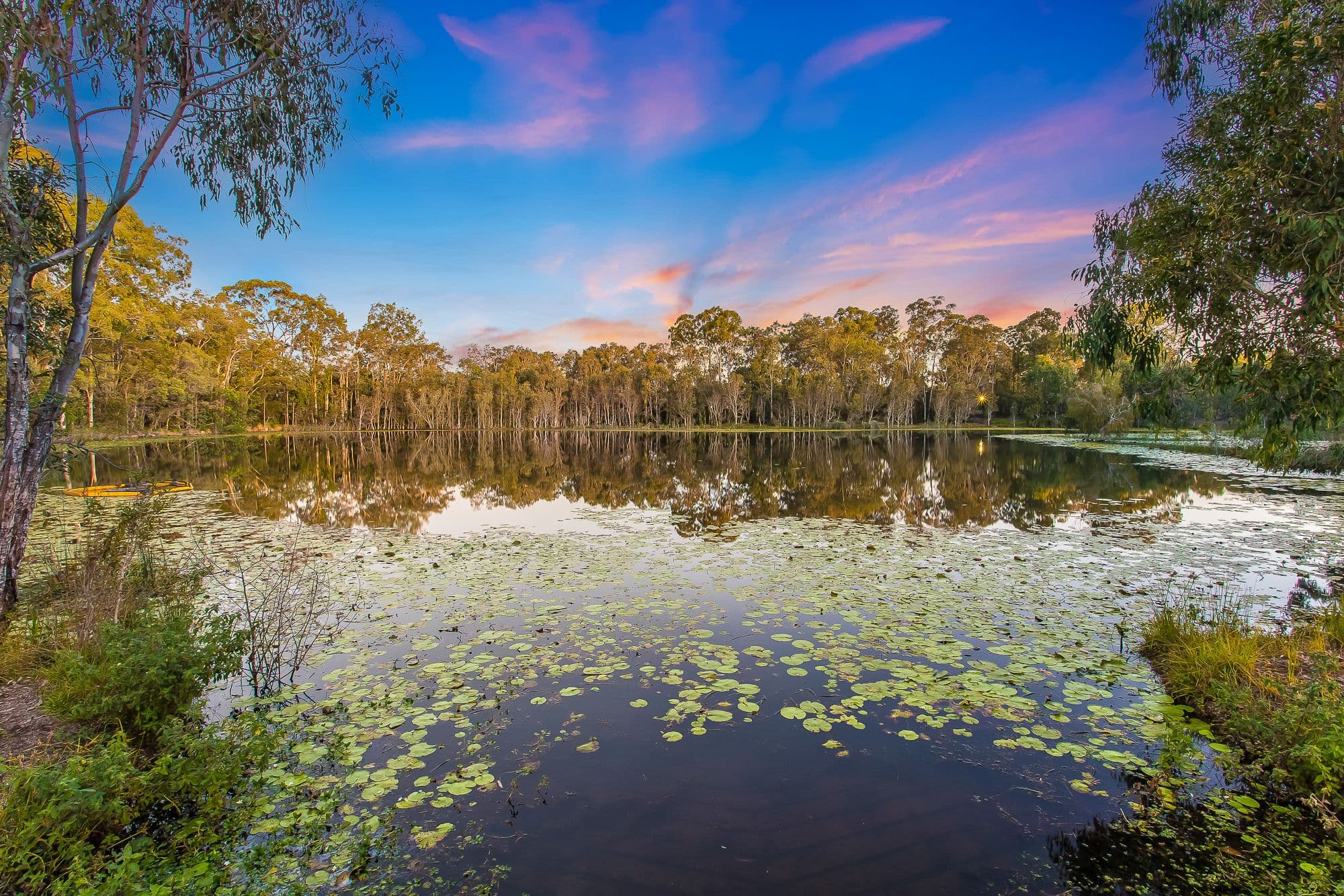 30 Cherington Way, Murrumba Downs QLD 4503, Murrumba Downs - Thumbnail 3