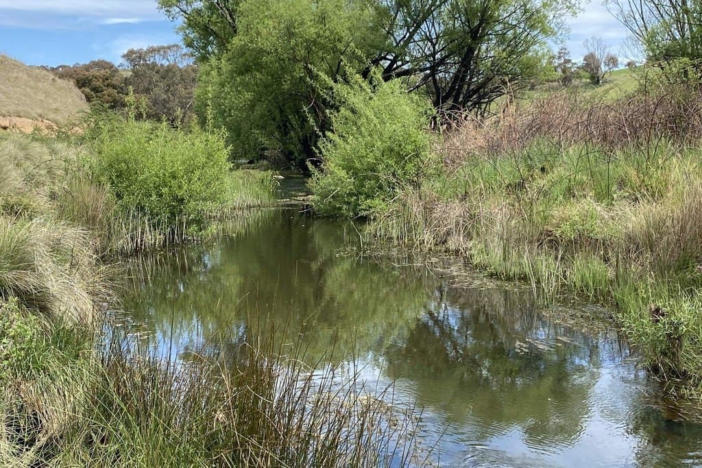 27 Waterworks Road, Crookwell - Thumbnail 4