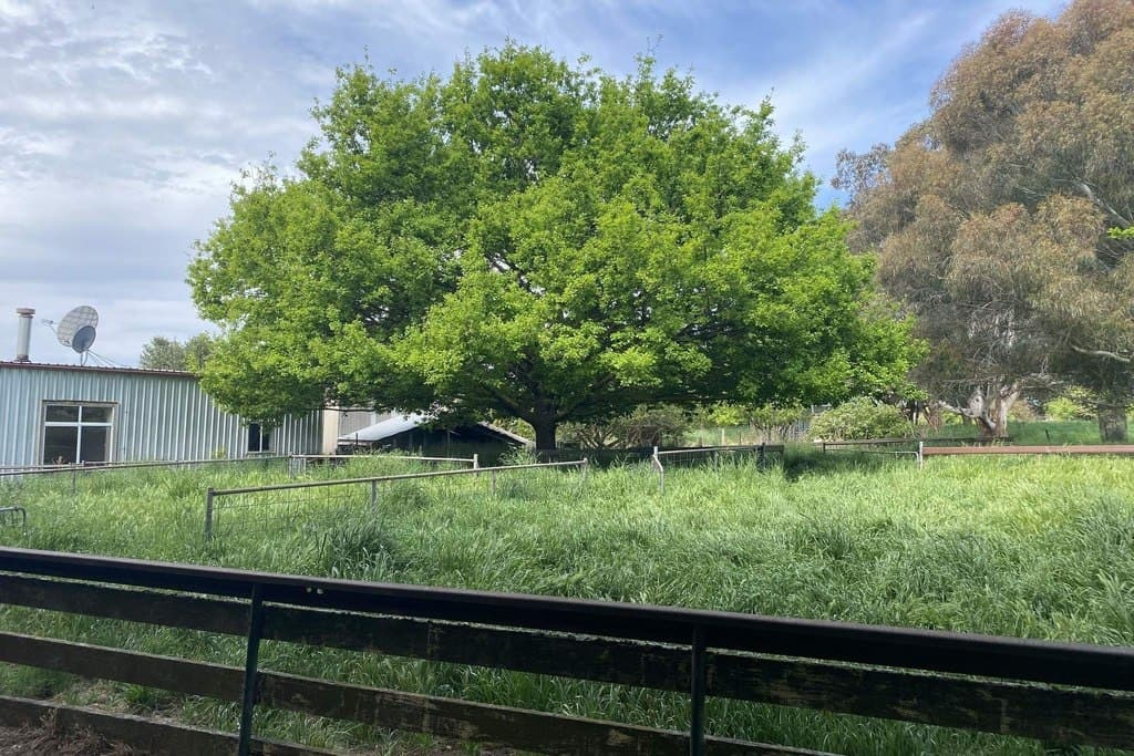 27 Waterworks Road, Crookwell - Thumbnail 8