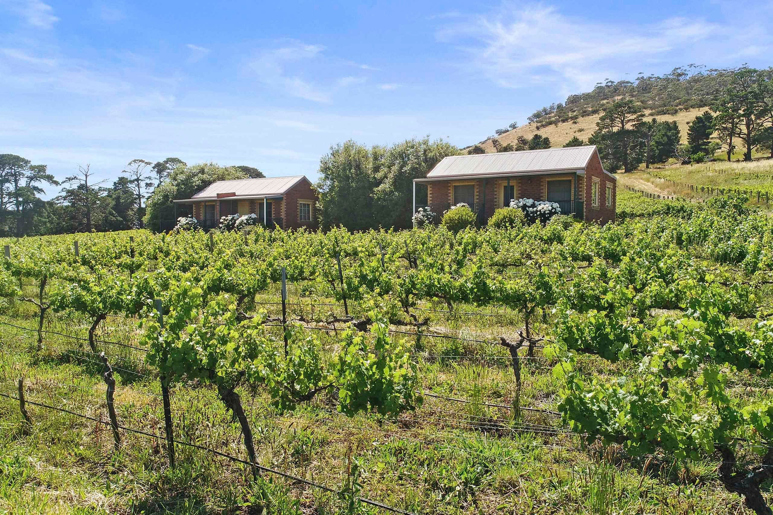 20 Staughton Vale Road, ANAKIE VIC 3213, Anakie - Thumbnail 5