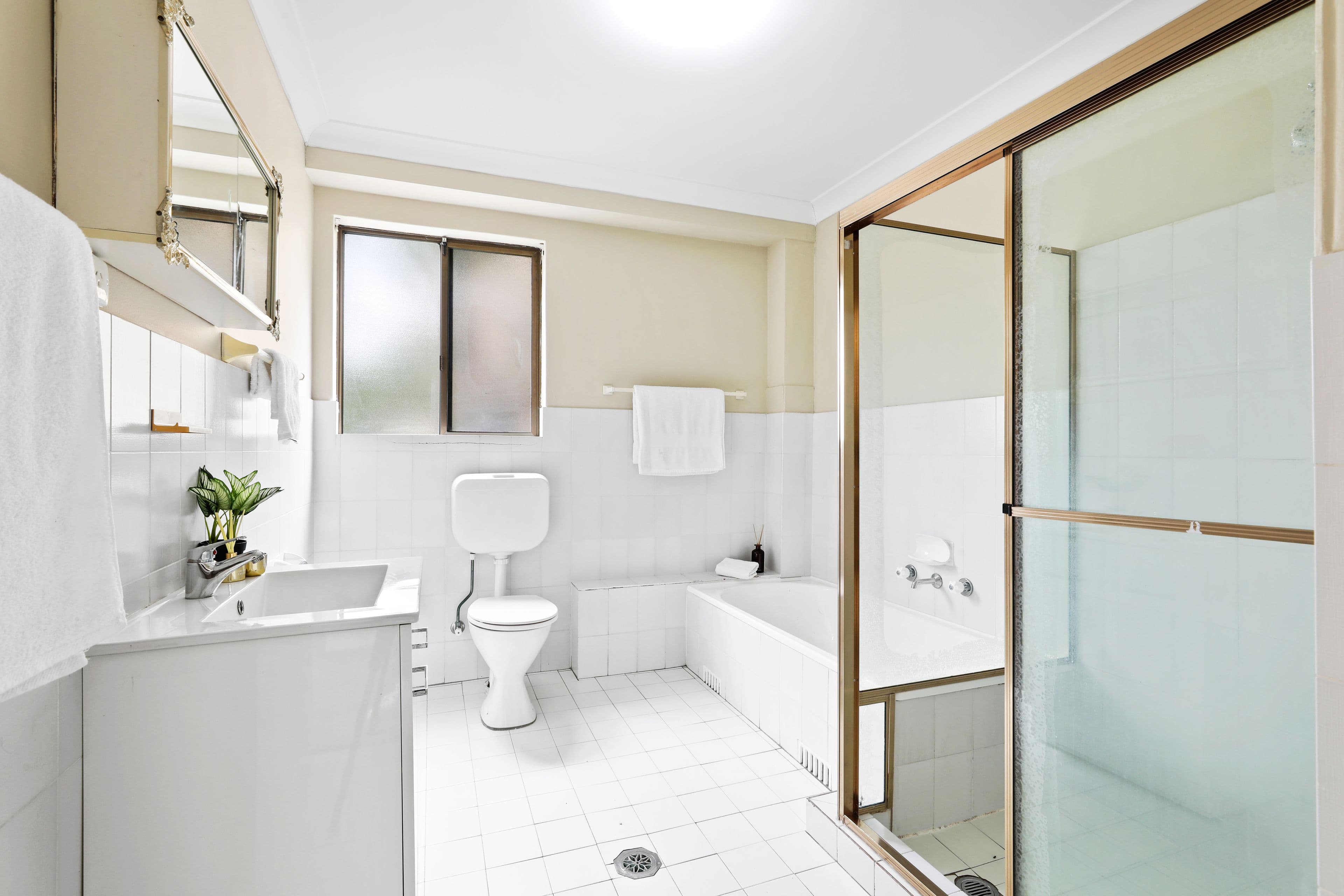 162 Homer Street, Earlwood NSW 2206, Earlwood - Thumbnail 6