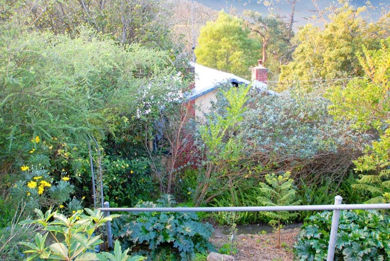 18 Jean Street, UPPER FERNTREE GULLY VIC 3156, Upper Ferntree Gully - Thumbnail 5