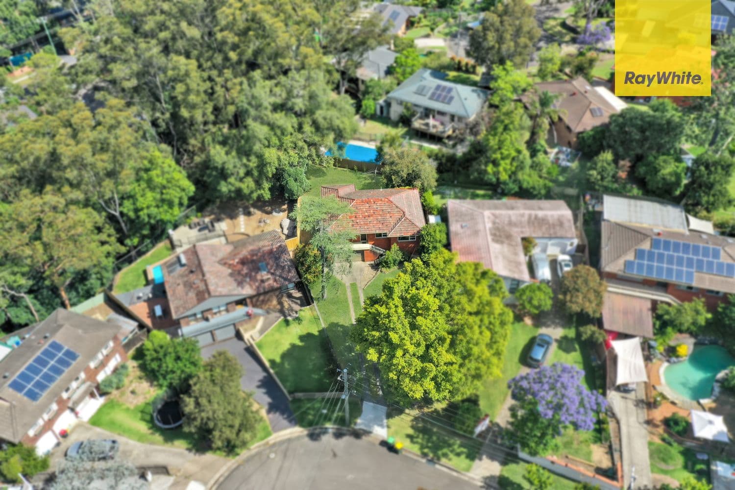 5 Otago Place, Northmead NSW 2152, Northmead - Thumbnail 7