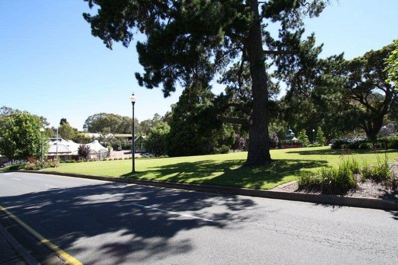 2 Bridget Street, Tea Tree Gully SA 5091, Tea Tree Gully - Thumbnail 6