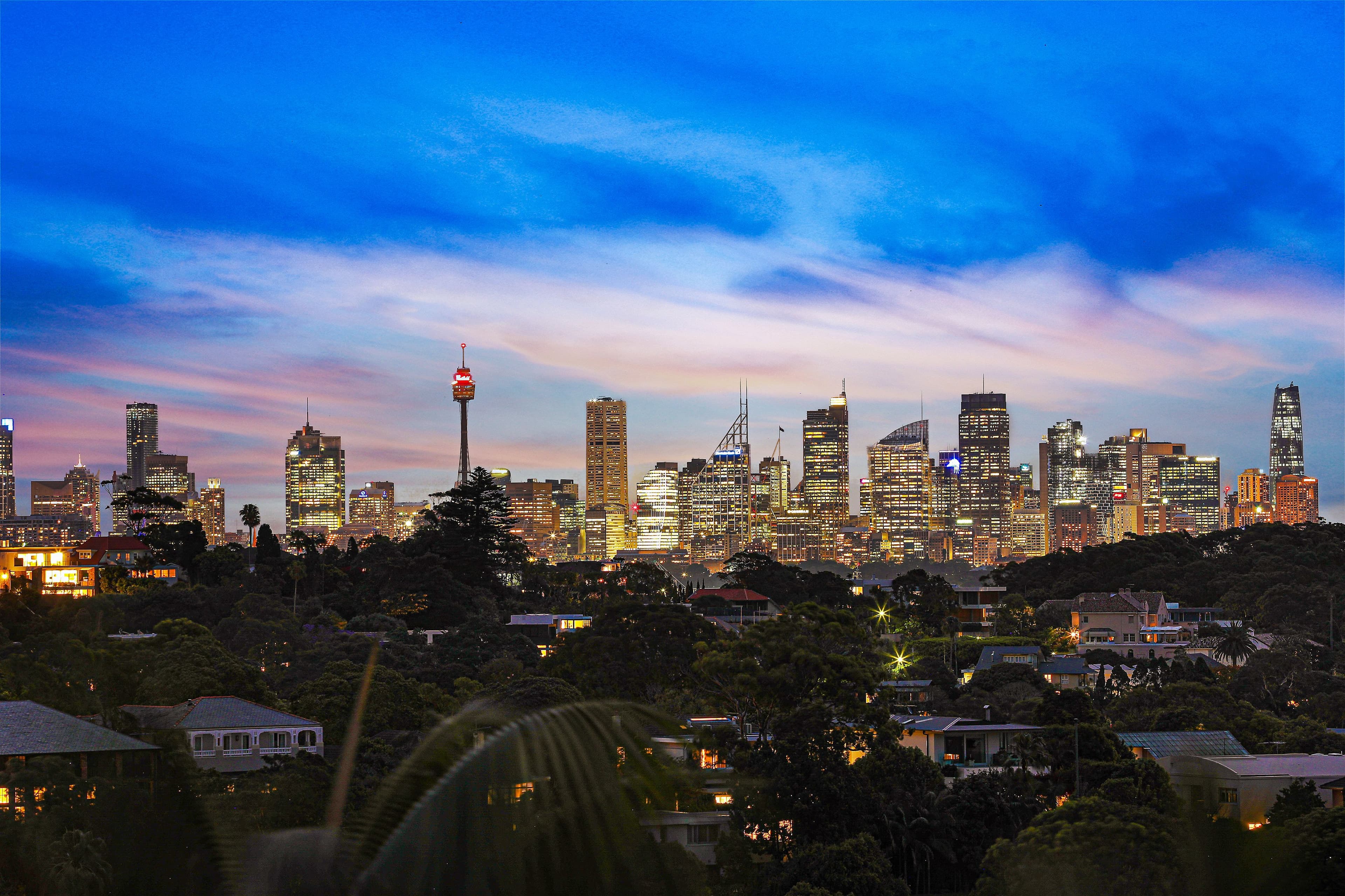 48 Village High Road, Vaucluse NSW 2030, Vaucluse - Thumbnail 6