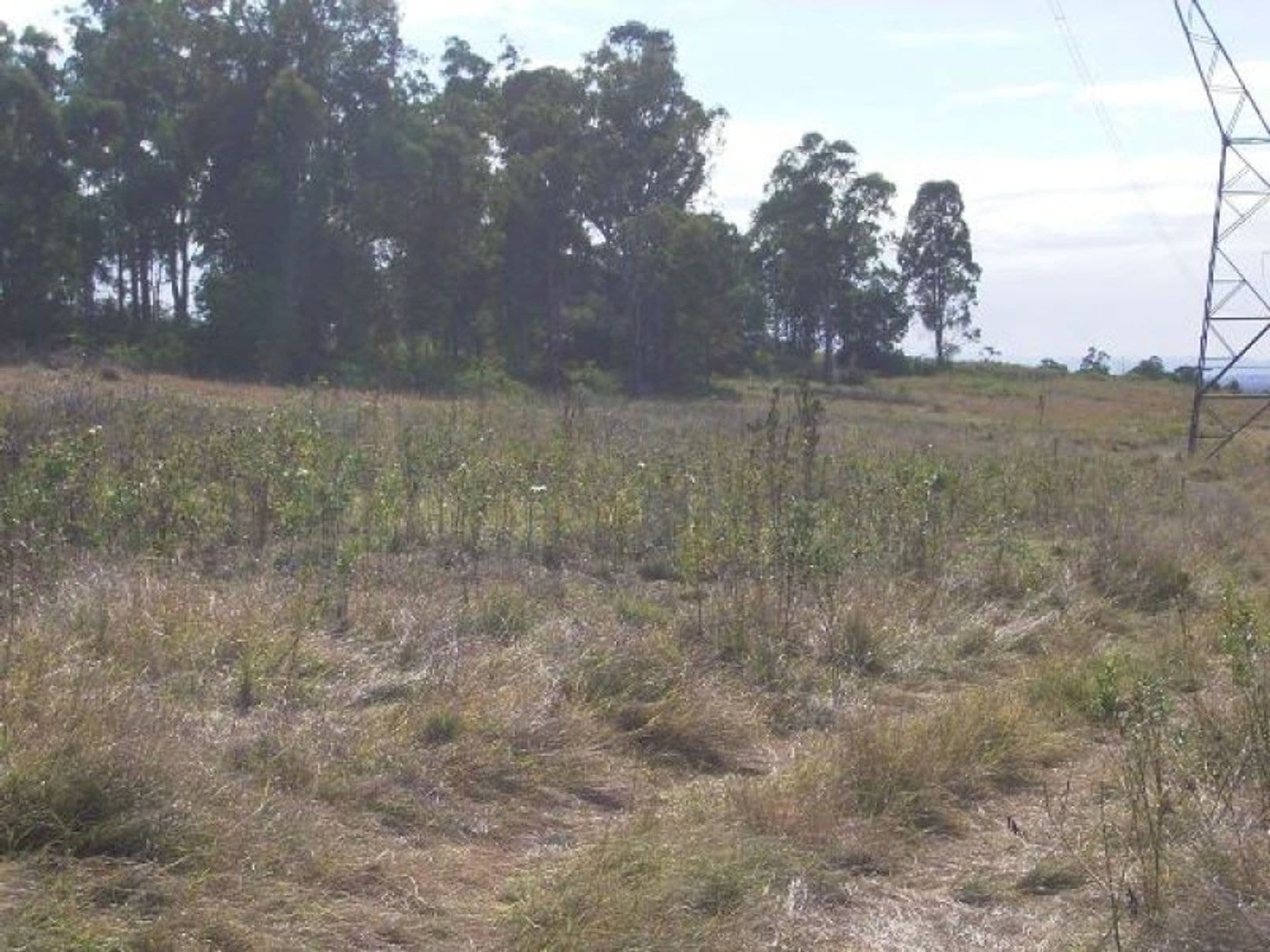 Ellangowan NSW 2470, Ellangowan - Thumbnail 6