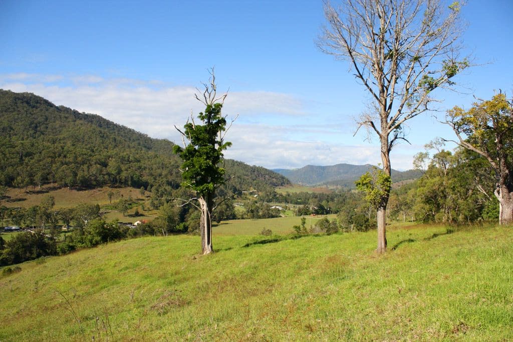 CANUNGRA QLD 4275, Canungra - Thumbnail 5
