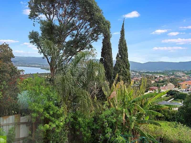 288 Flagstaff Road, Lake Heights NSW 2502, Lake Heights - Thumbnail 5