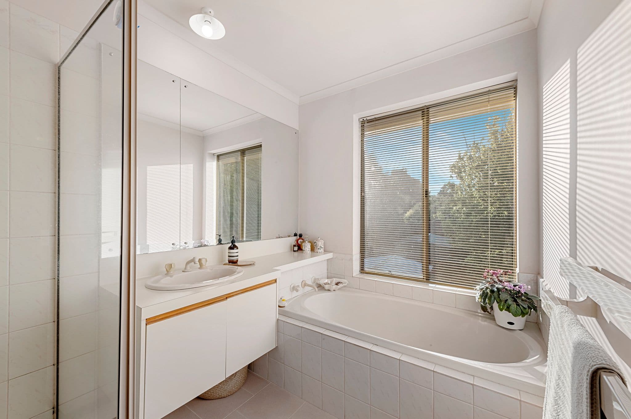 41 Dandelion Drive, Rowville VIC 3178, Rowville - Thumbnail 7