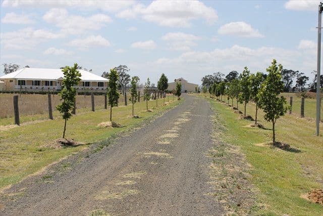 85 Southern Cross Drive, DALBY QLD 4405, Dalby - Image 1