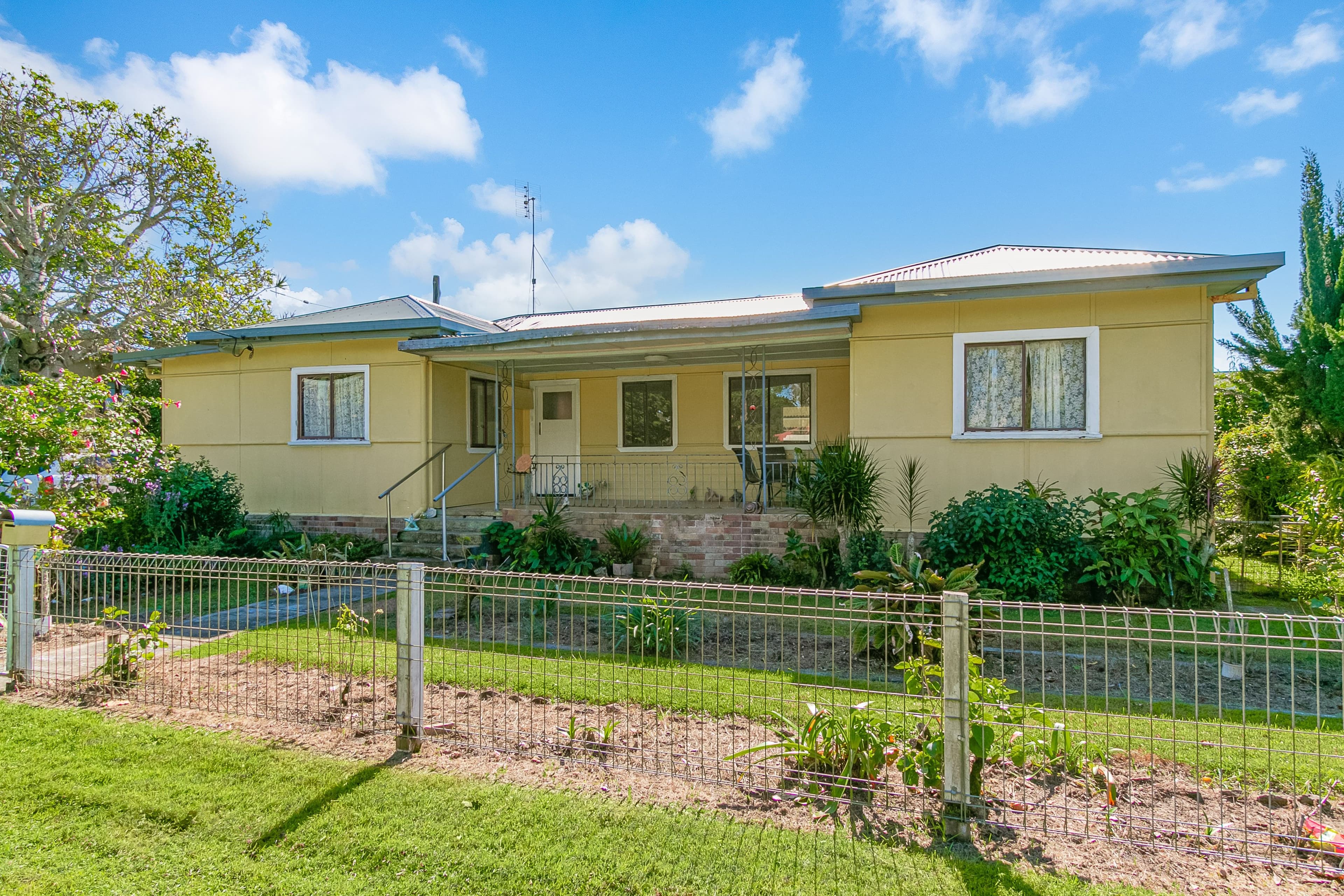 3 Terrace Street, Chinderah NSW 2487, Chinderah - Thumbnail 4