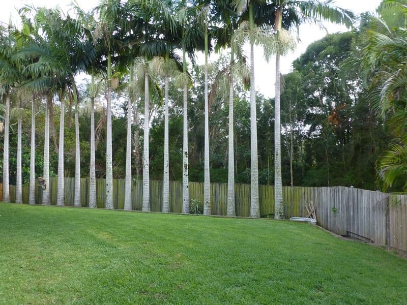 9 Mangrove Court, BLI BLI QLD 4560, Bli Bli - Thumbnail 6