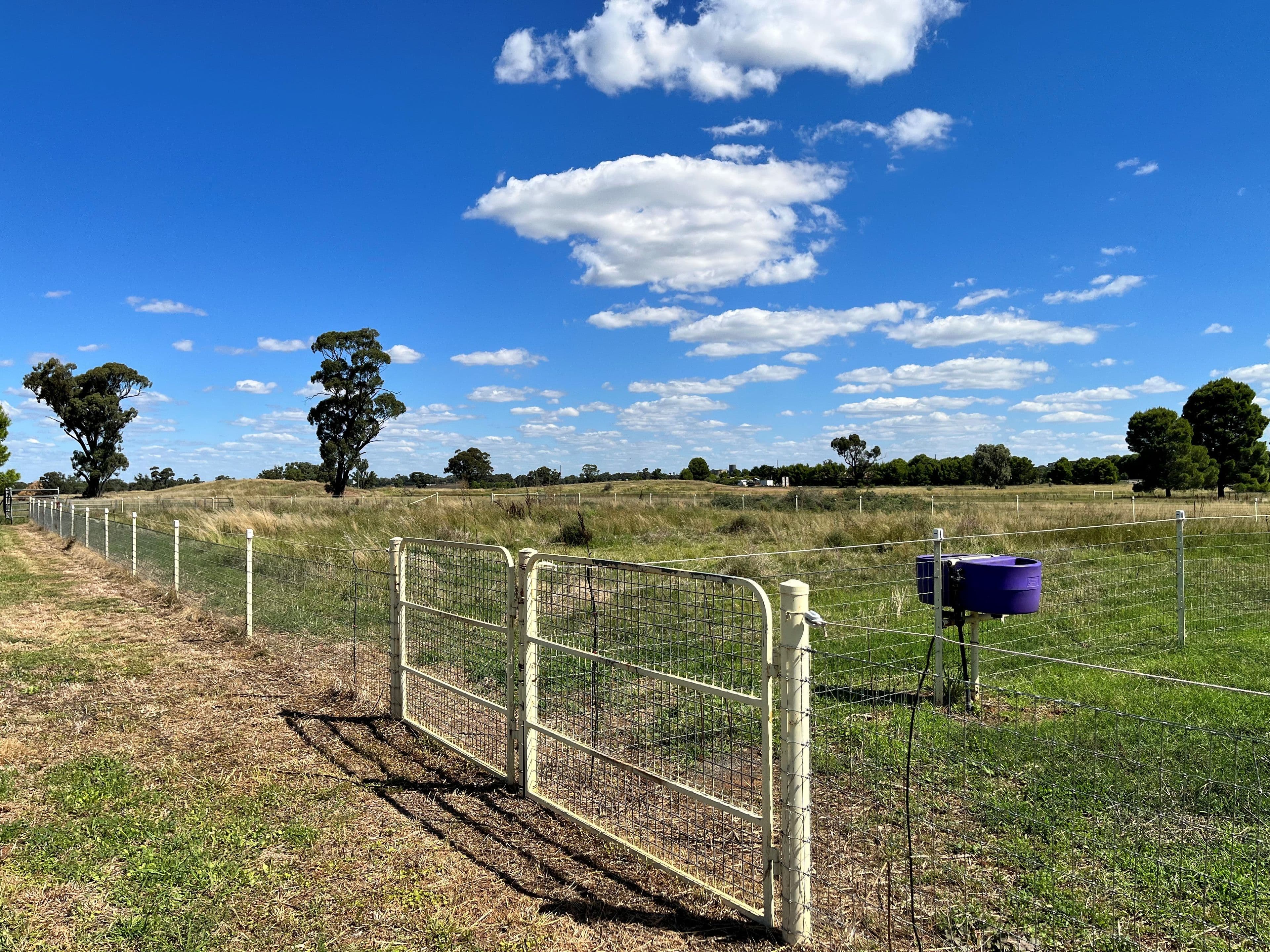 348 Calarie Road, Forbes NSW 2871, Forbes - Thumbnail 7
