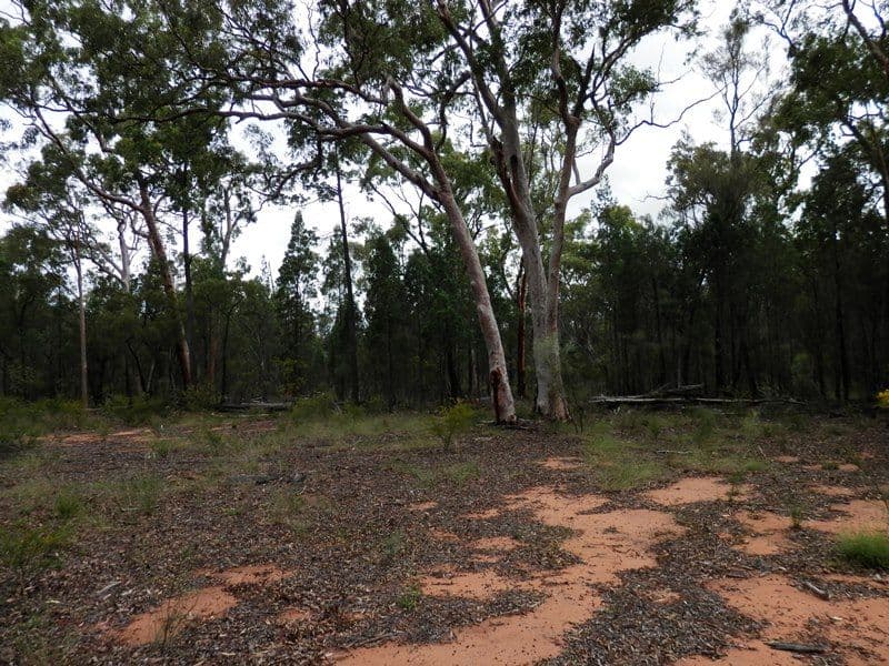 Lot 8 Pine Ridge Road Condamine Farms, MILLMERRAN QLD 4357, Millmerran - Thumbnail 5