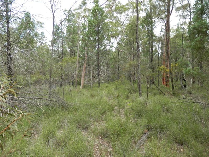 Lot 8 Pine Ridge Road Condamine Farms, MILLMERRAN QLD 4357, Millmerran - Thumbnail 6