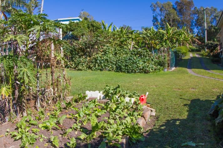 84 Seabreeze Parade, Green Point NSW 2428, Green Point - Thumbnail 3