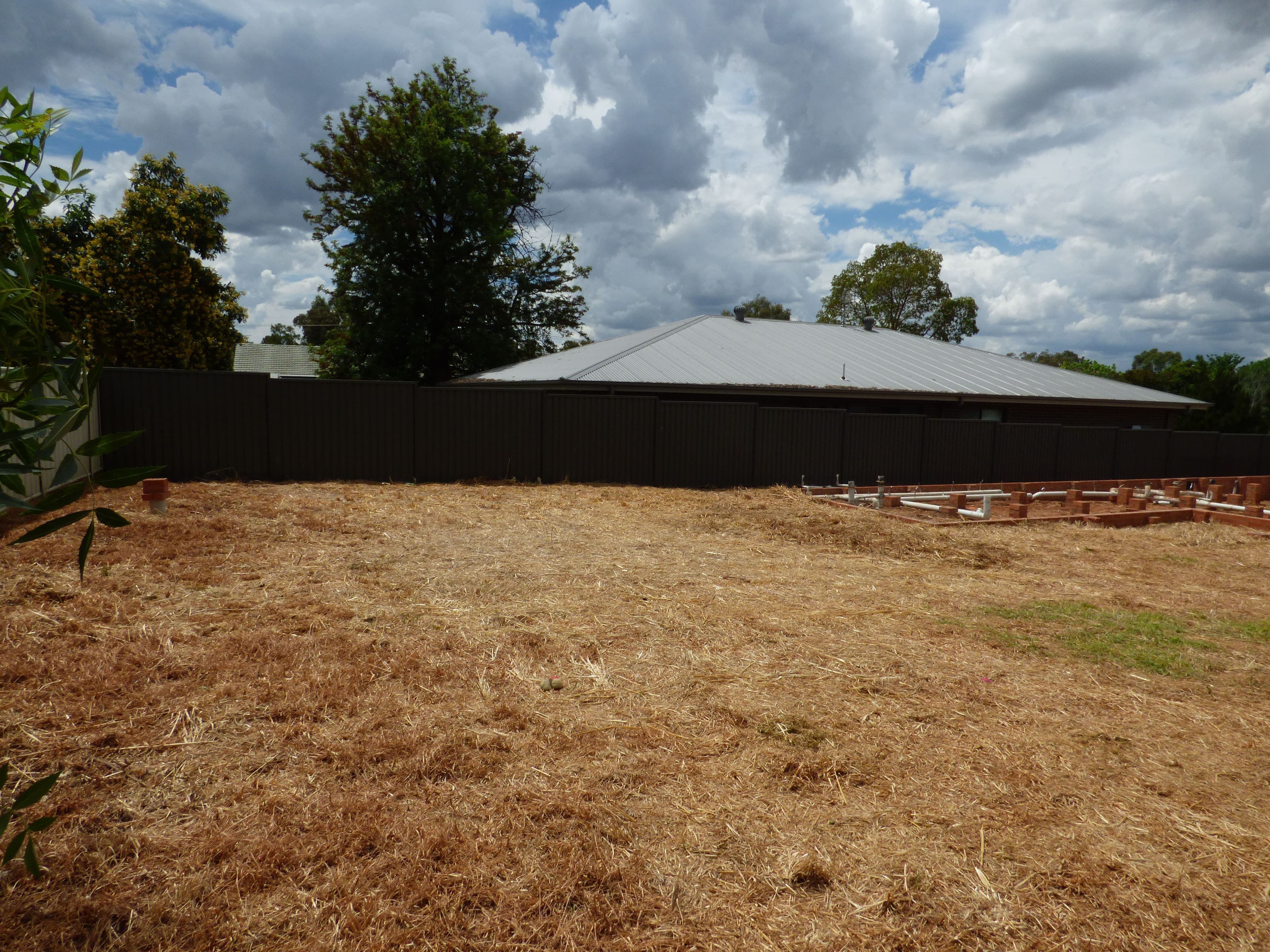 3 Tickner Street, Forbes NSW 2871, Forbes - Thumbnail 4