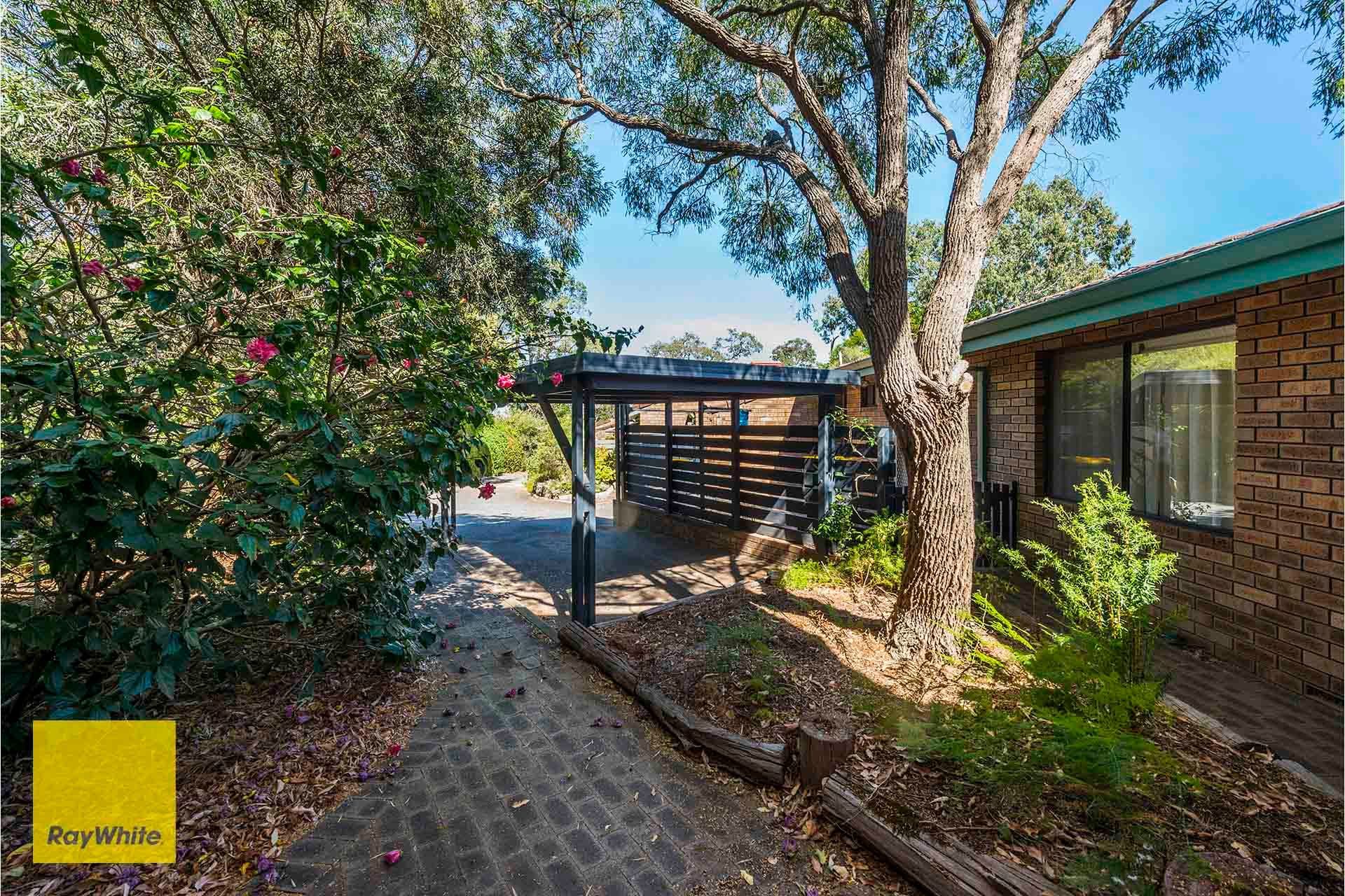  54 Williams Street, Kalamunda WA 6076, Kalamunda - Image 1