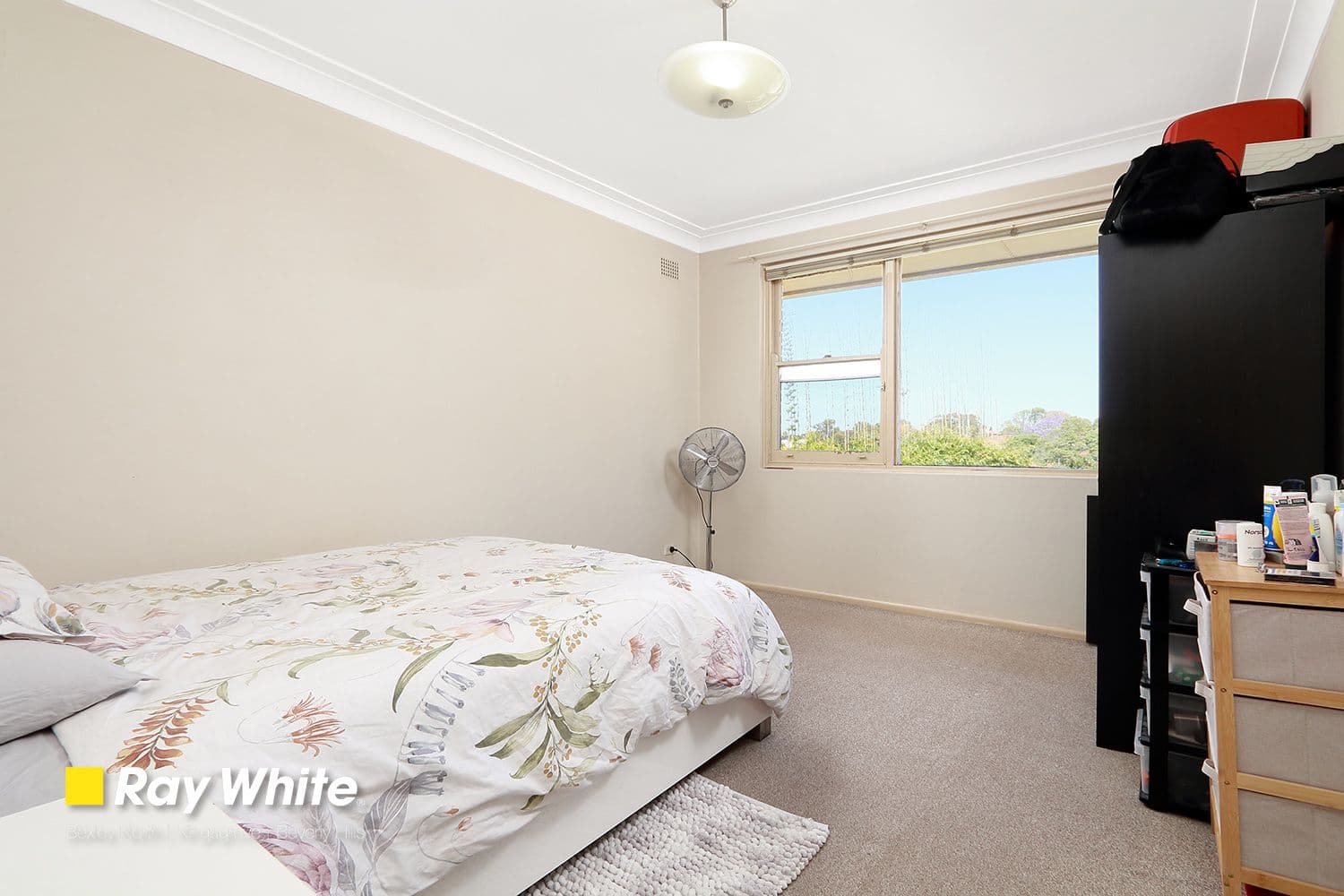 193 Bexley Road, Kingsgrove NSW 2208, Kingsgrove - Thumbnail 7