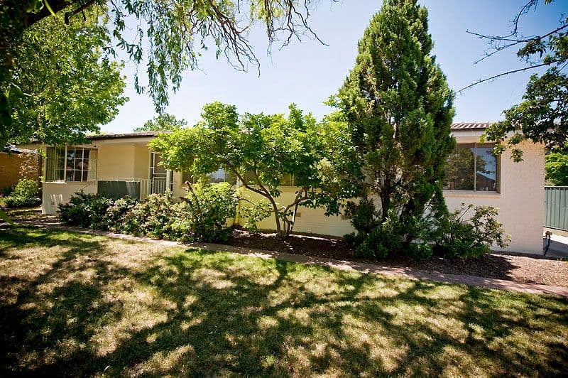 43 Wilkins Street, MAWSON ACT 2607, Mawson - Thumbnail 4