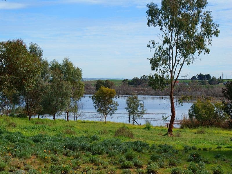 61 Murray Drive, MURRAY BRIDGE SA 5253, Murray Bridge - Image 1
