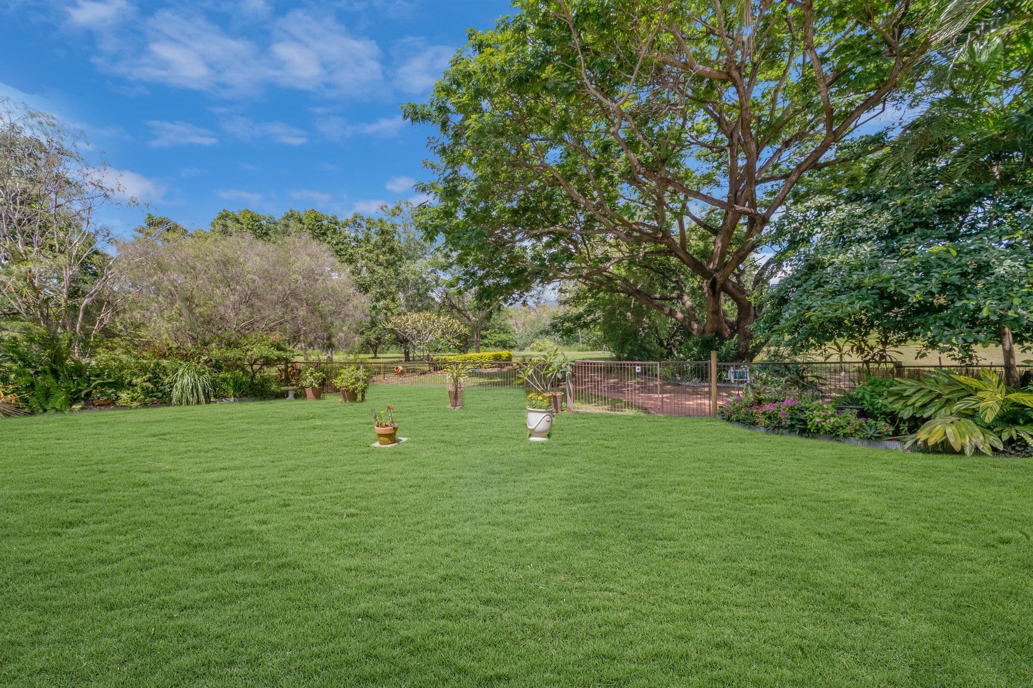 3 Adelong Drive, Cranbrook QLD 4814, Cranbrook - Thumbnail 4