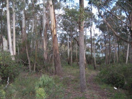 151 Victoria Street, Mount Victoria NSW 2786, Mount Victoria - Image 1