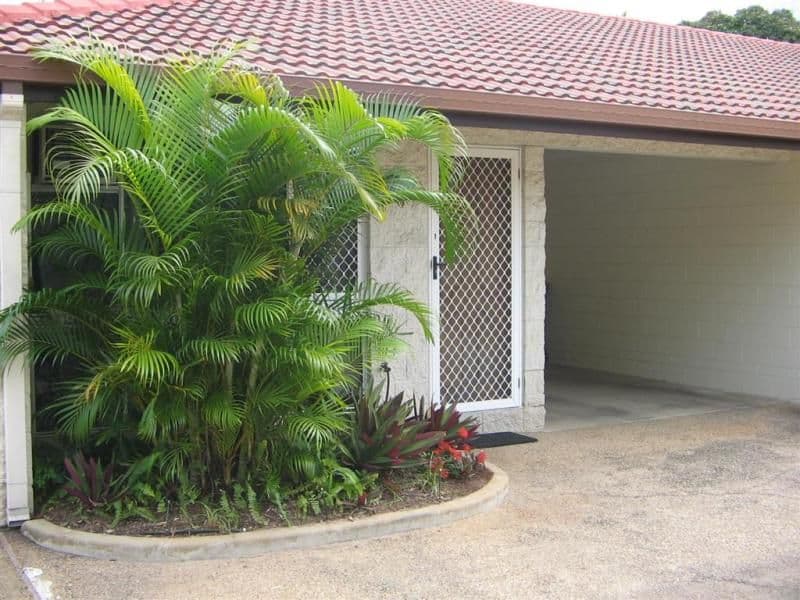 37 Ralston Street, WEST END QLD 4810, West End - Thumbnail 5