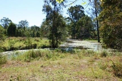 39 Griffin Road, VICTORY HEIGHTS QLD 4570, Victory Heights - Thumbnail 4