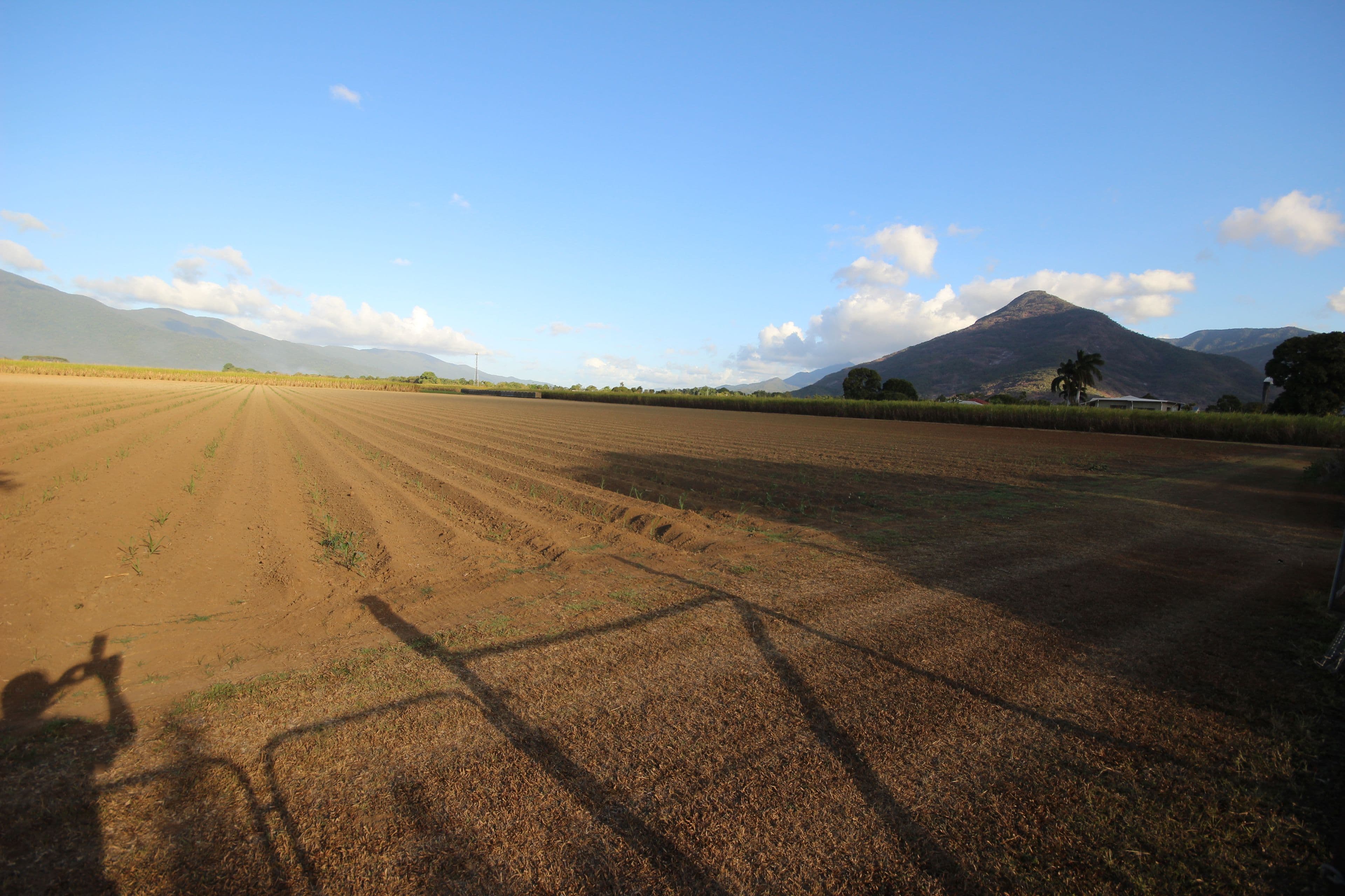 33 Campbell Street, Gordonvale QLD 4865, Gordonvale - Image 1