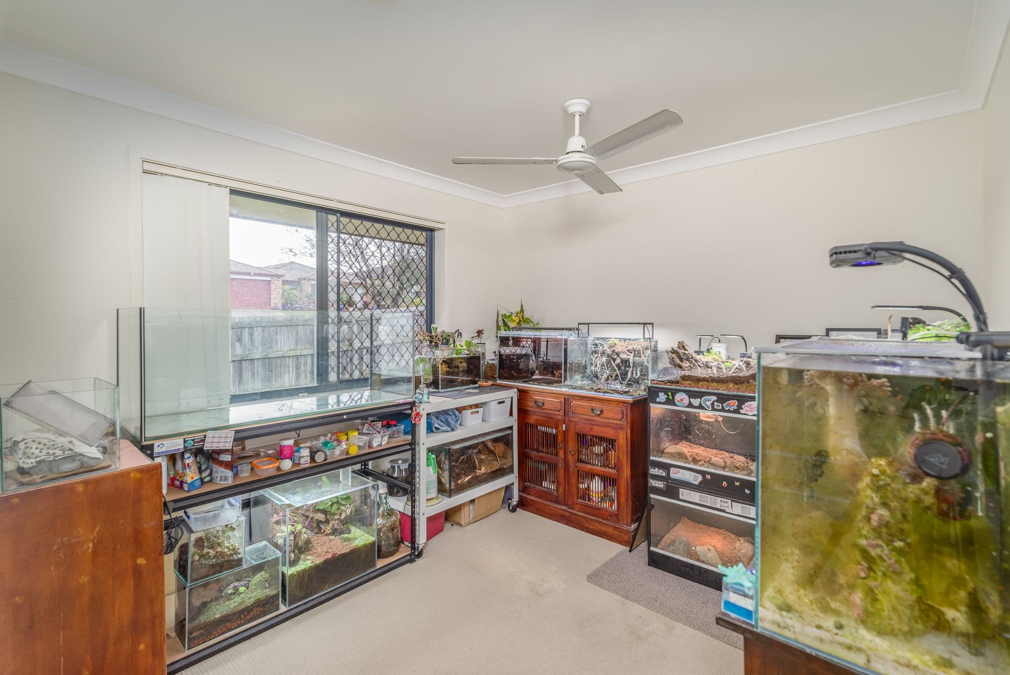 38 Hugo Drive, Beaudesert QLD 4285, Beaudesert - Thumbnail 6