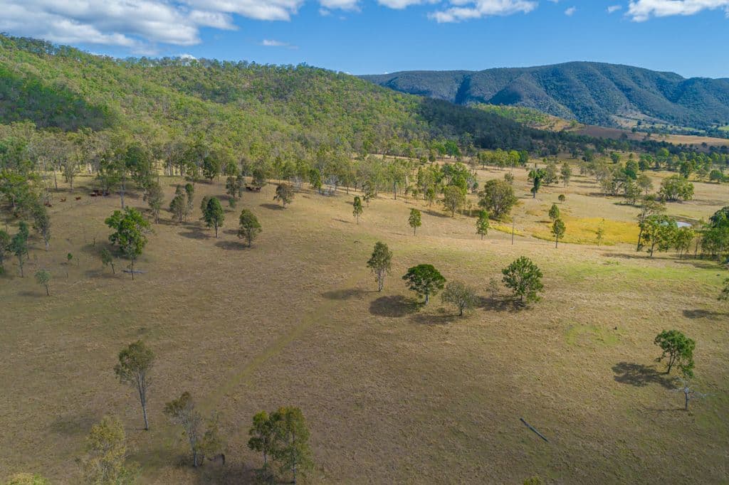 52 Vidoni Road, Neurum QLD 4514, Neurum - Thumbnail 6