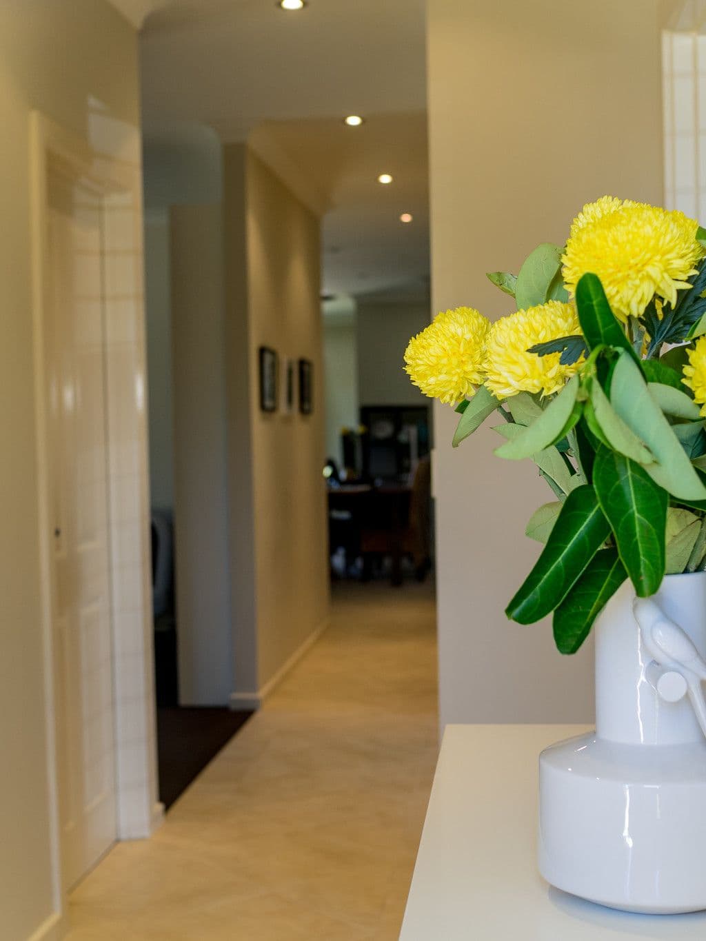 4 Irena Court, Murray Bridge SA 5253, Murray Bridge - Thumbnail 2