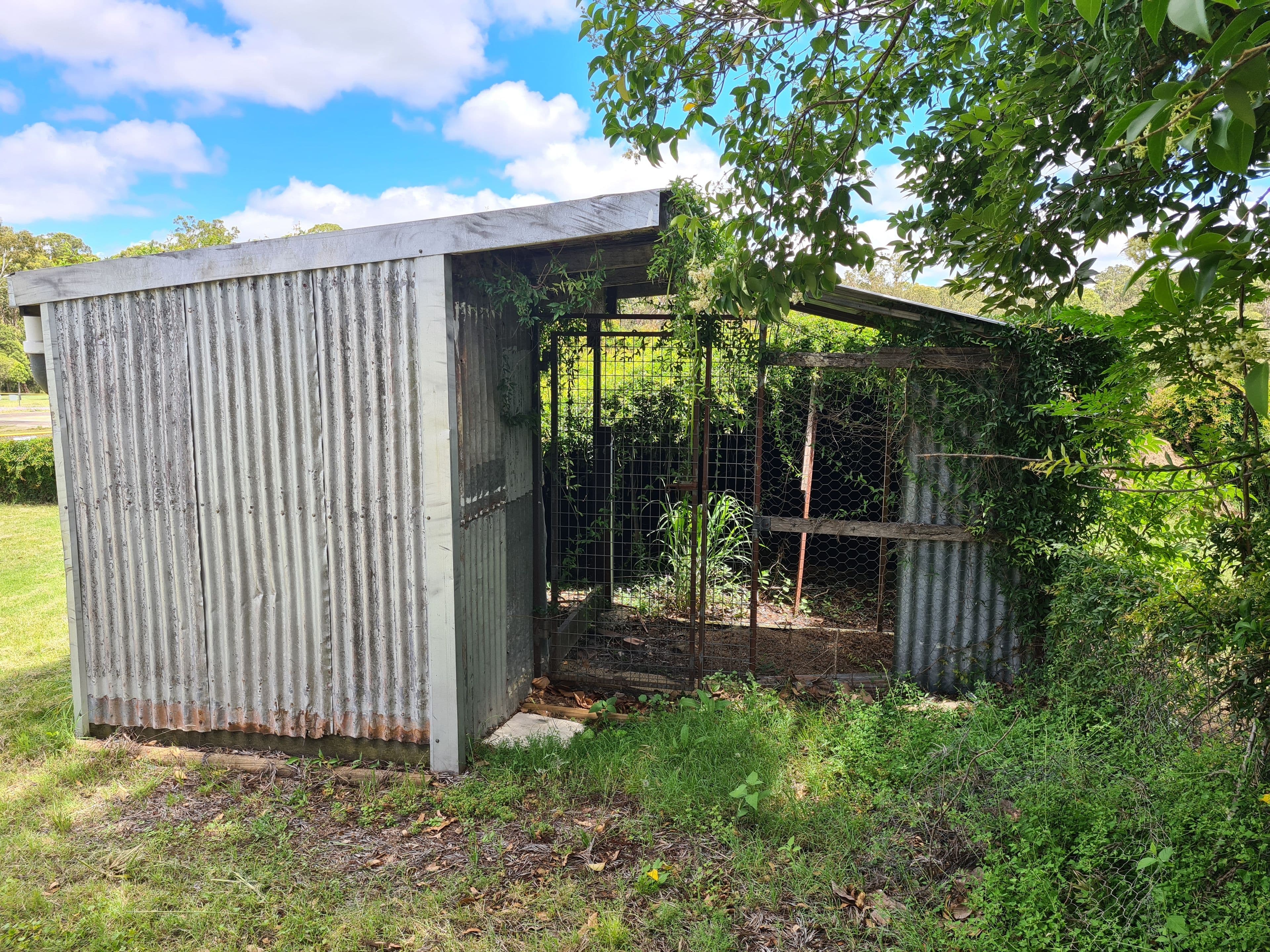 26 Albert Street, Crows Nest QLD 4355, Crows Nest - Thumbnail 8