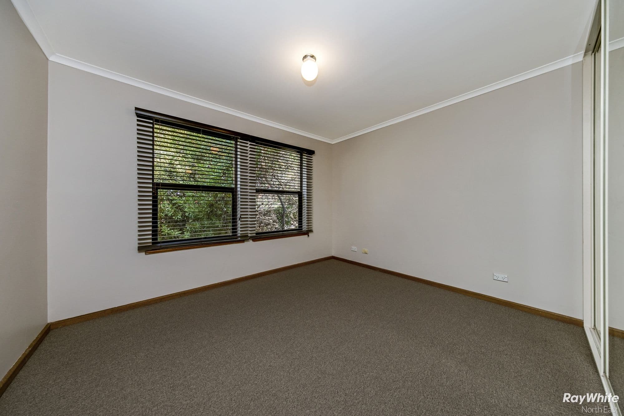 10 Hutt Place, Modbury Heights SA 5092, Modbury Heights - Thumbnail 7