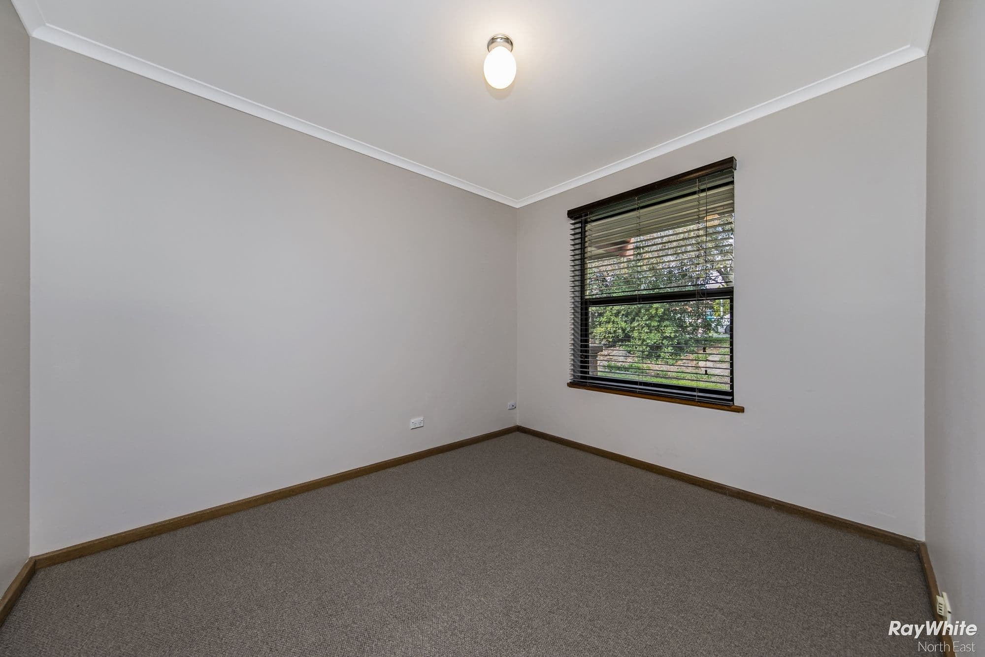 10 Hutt Place, Modbury Heights SA 5092, Modbury Heights - Thumbnail 8
