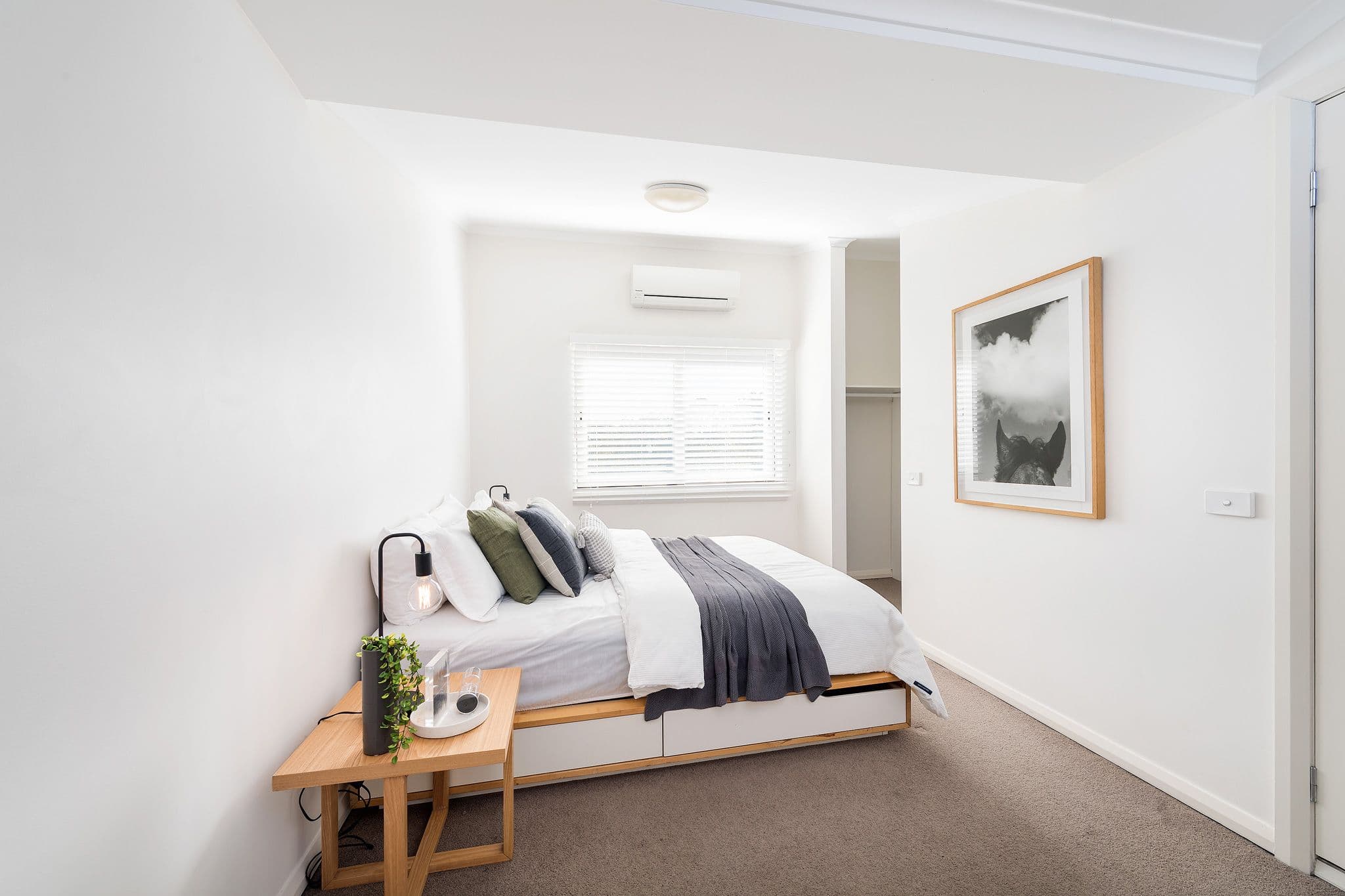 328 Stanmore Road, Petersham NSW 2049, Petersham - Thumbnail 4