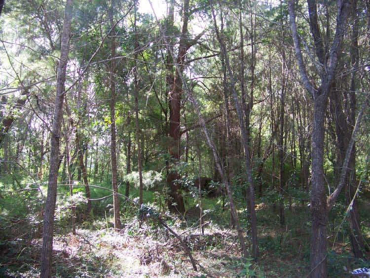 31 Dempsey Street, Russell Island QLD 4184, Russell Island - Thumbnail 2